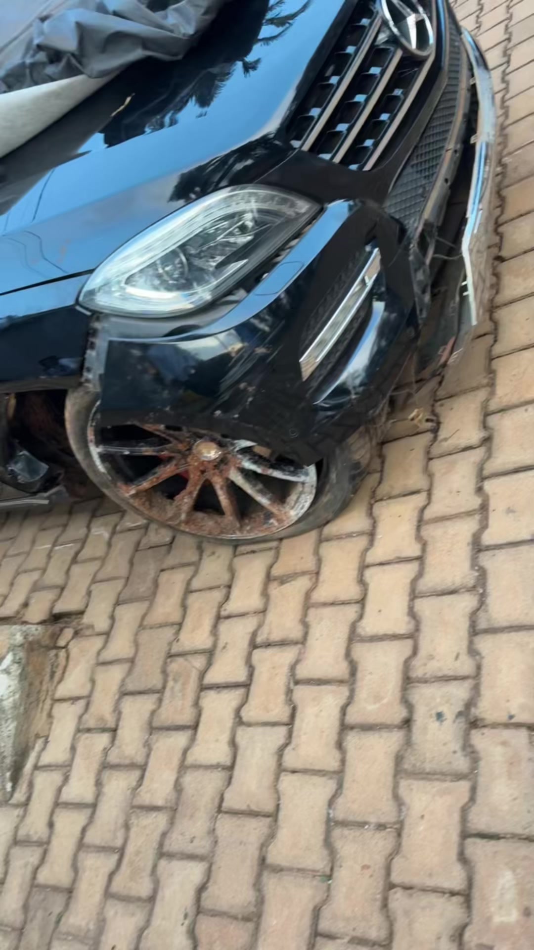 @Forexgiantug2