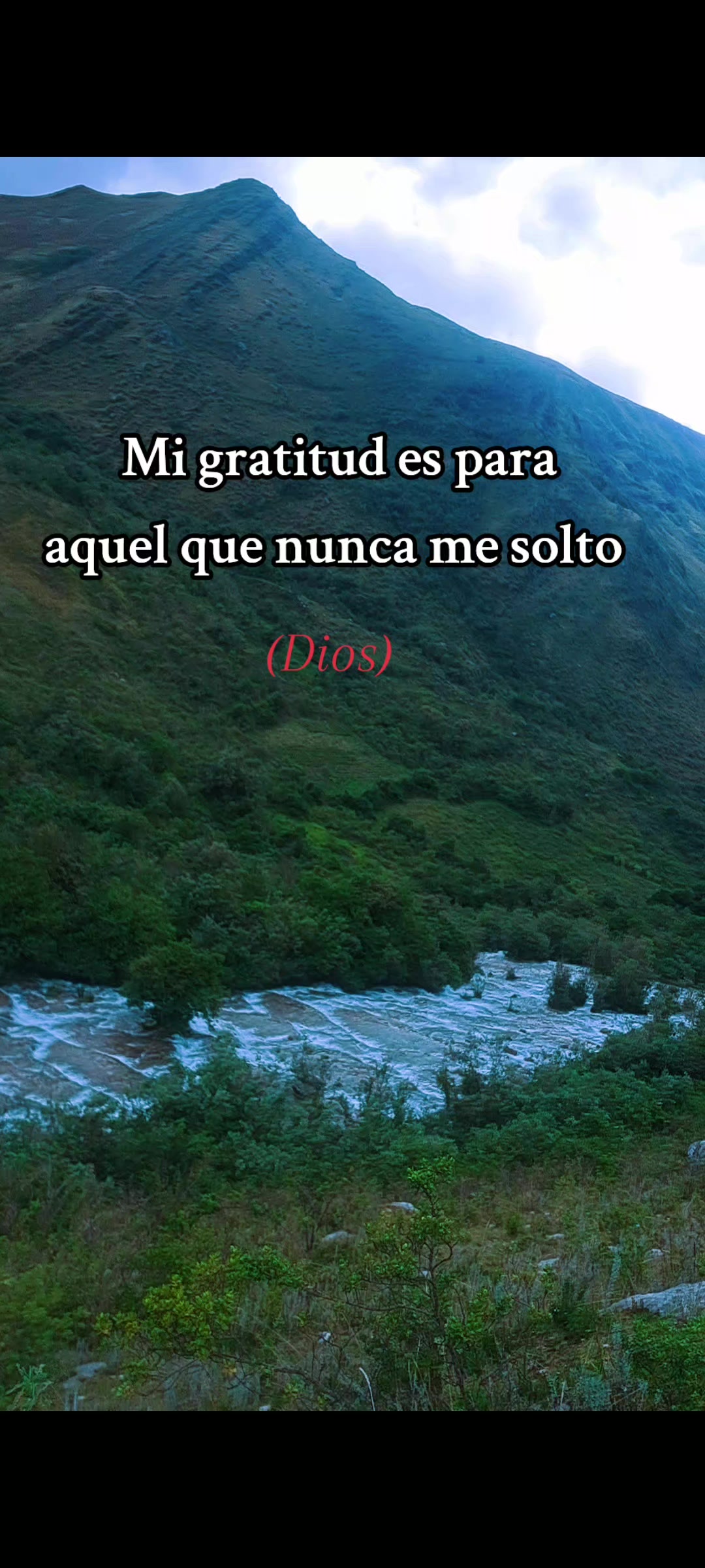 @MarI 🌺