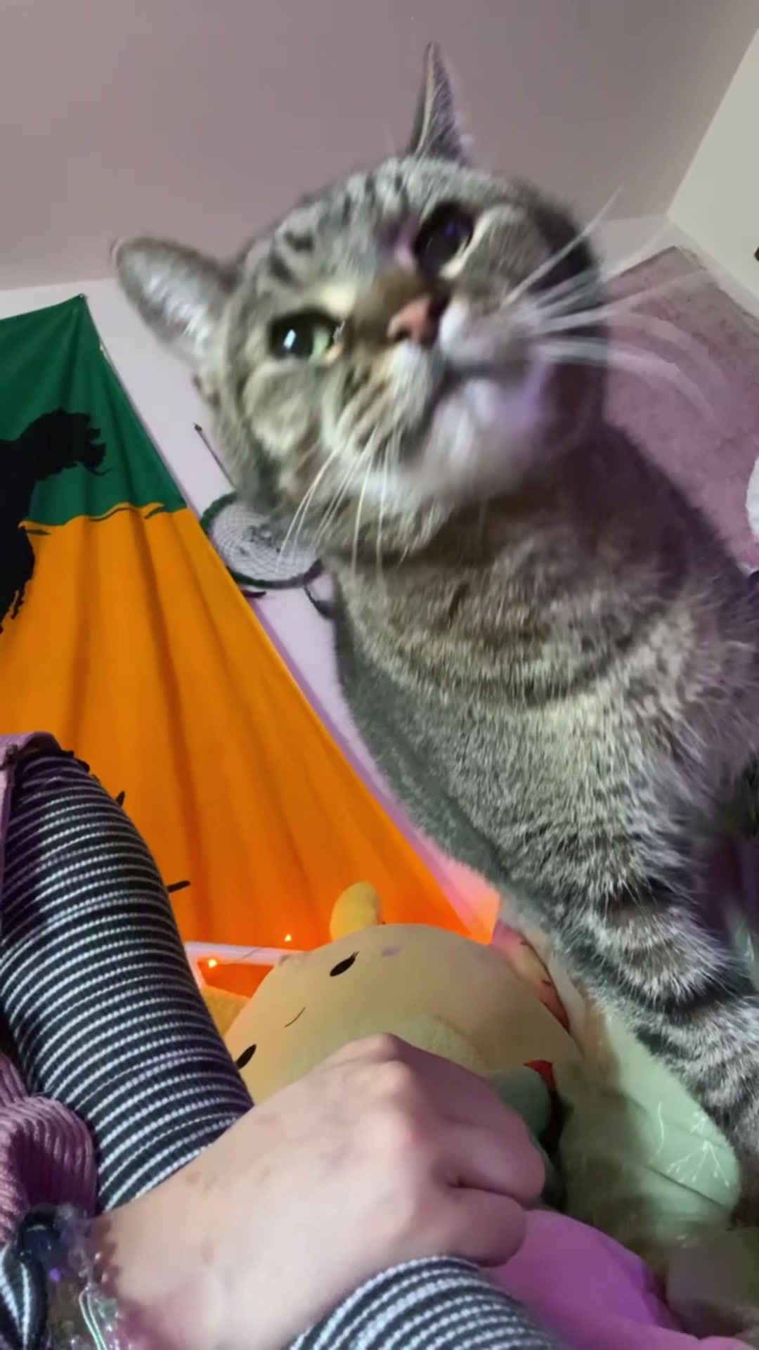@☆ KIKI ☆