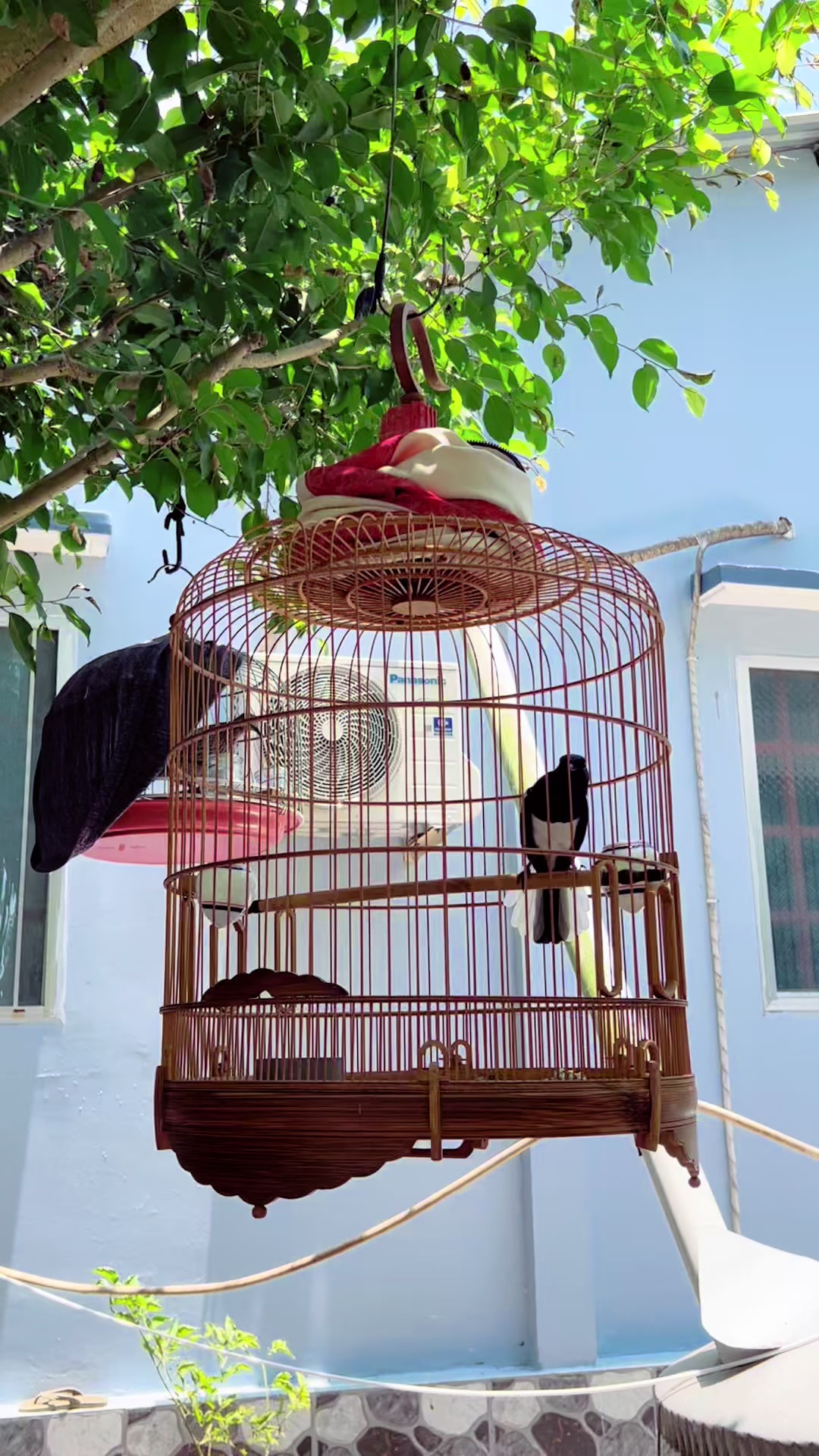 @Kiệt Nguyễn