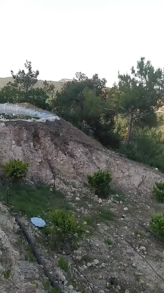 @Recep Ballı