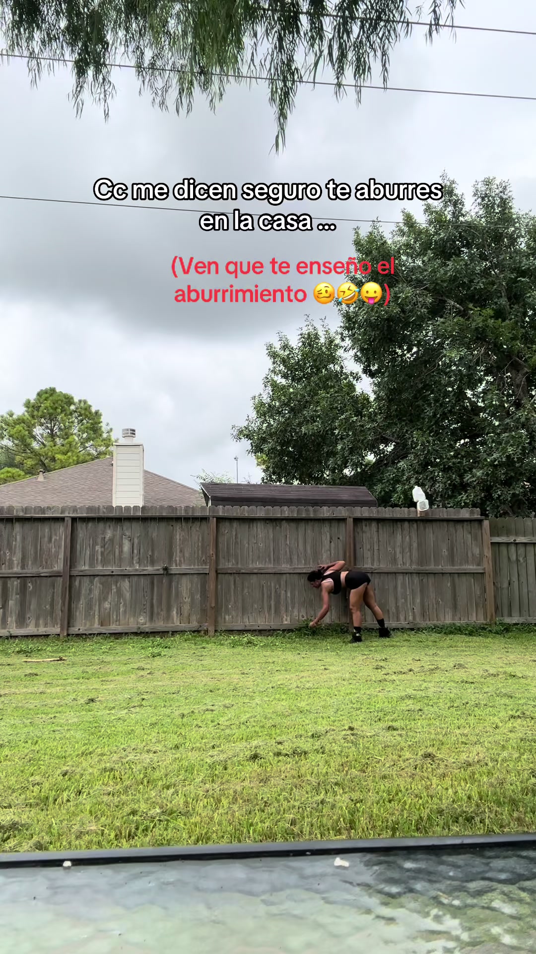 @silviadelgado8235