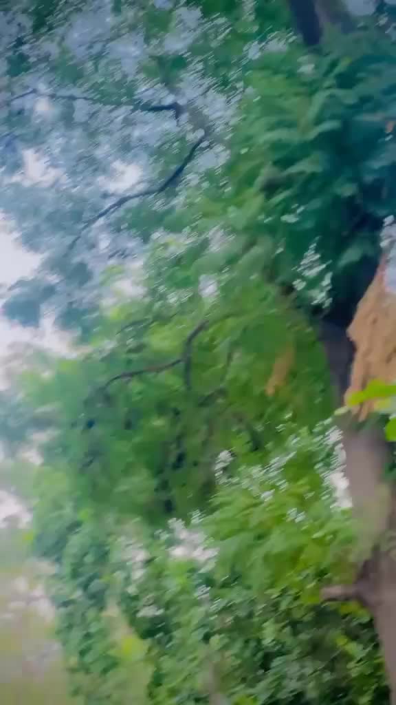 @حنظلہ پٹھان🔥