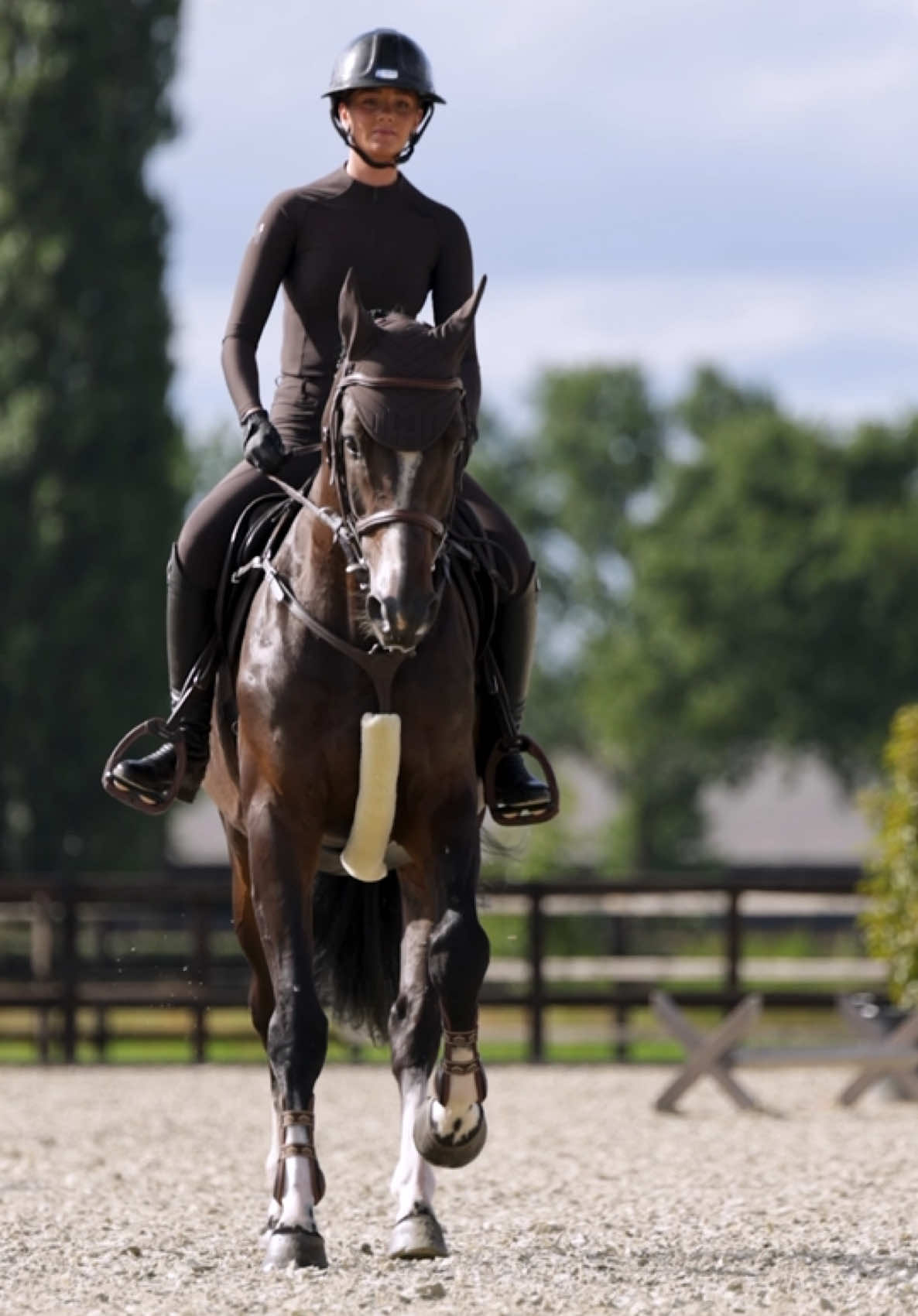@Maximilian Equestrian