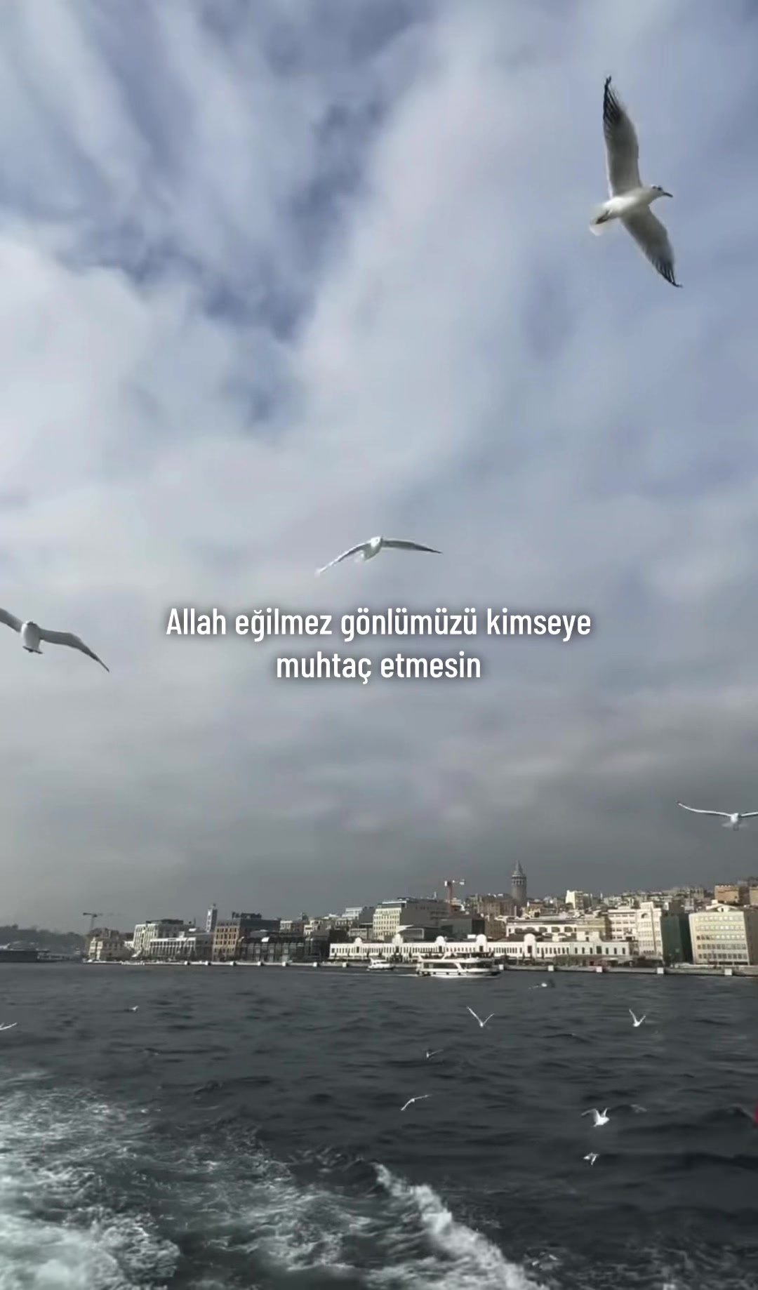 @hakan_enes_