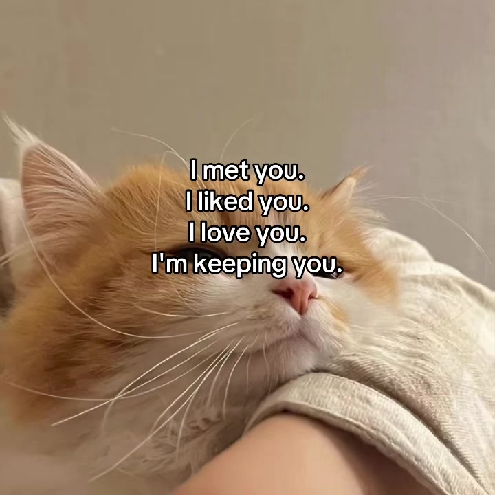 @deep.meow