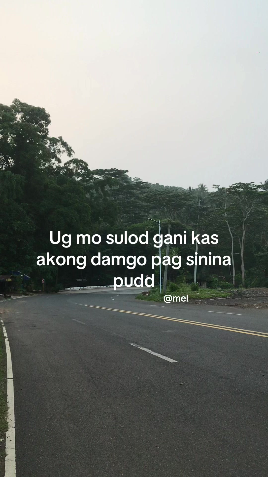 @leomel💤