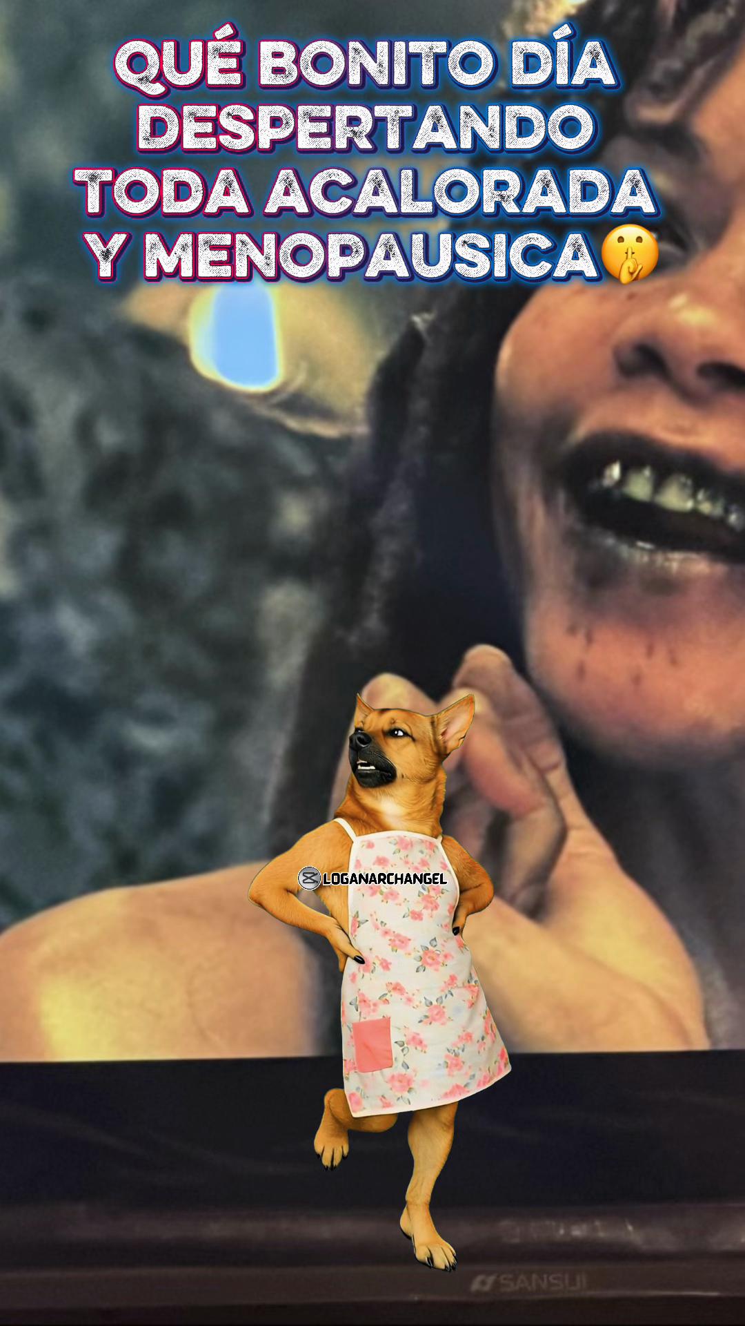 @sandyeleguacita