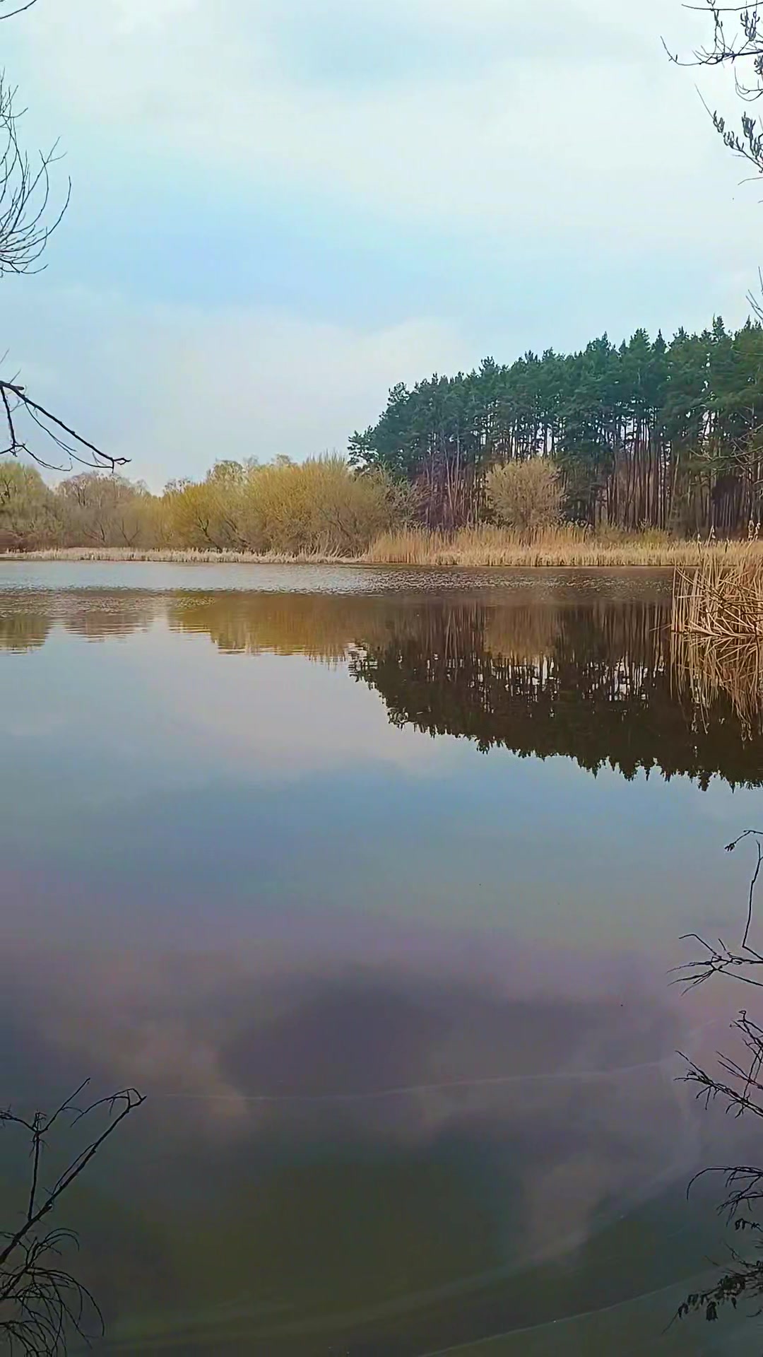 @ксюшик💙💛