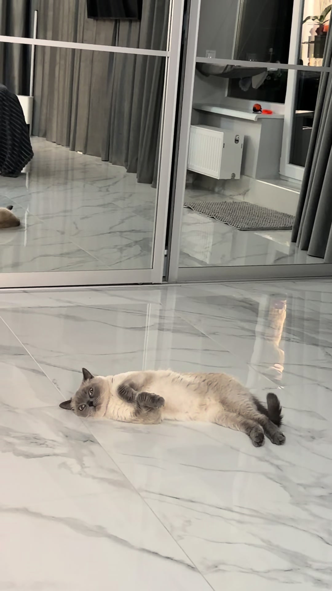 @Трускавецька киця 😻