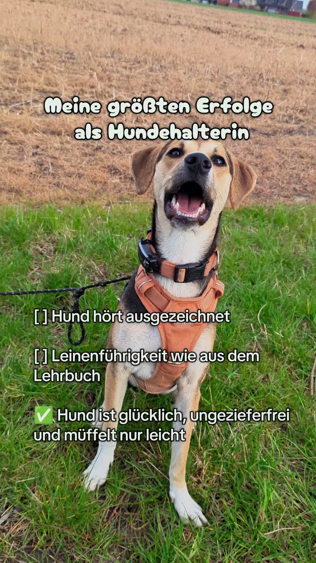 @ꪑⅈꪶꪖ ꪑꪮꪀᥴꫝꫝⅈᥴꫝⅈ