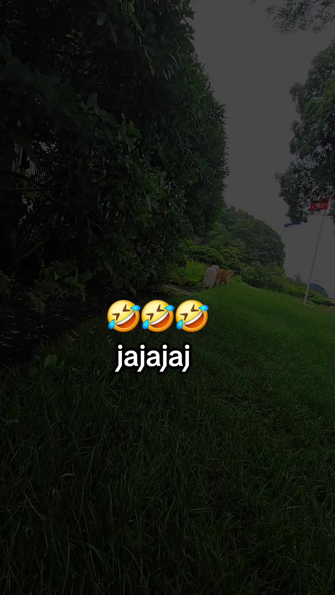 @yo solo soy un pecador