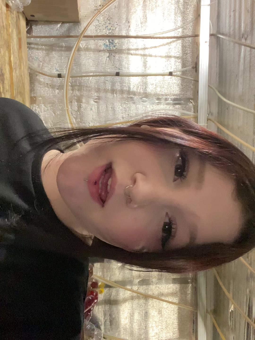 @frigitty