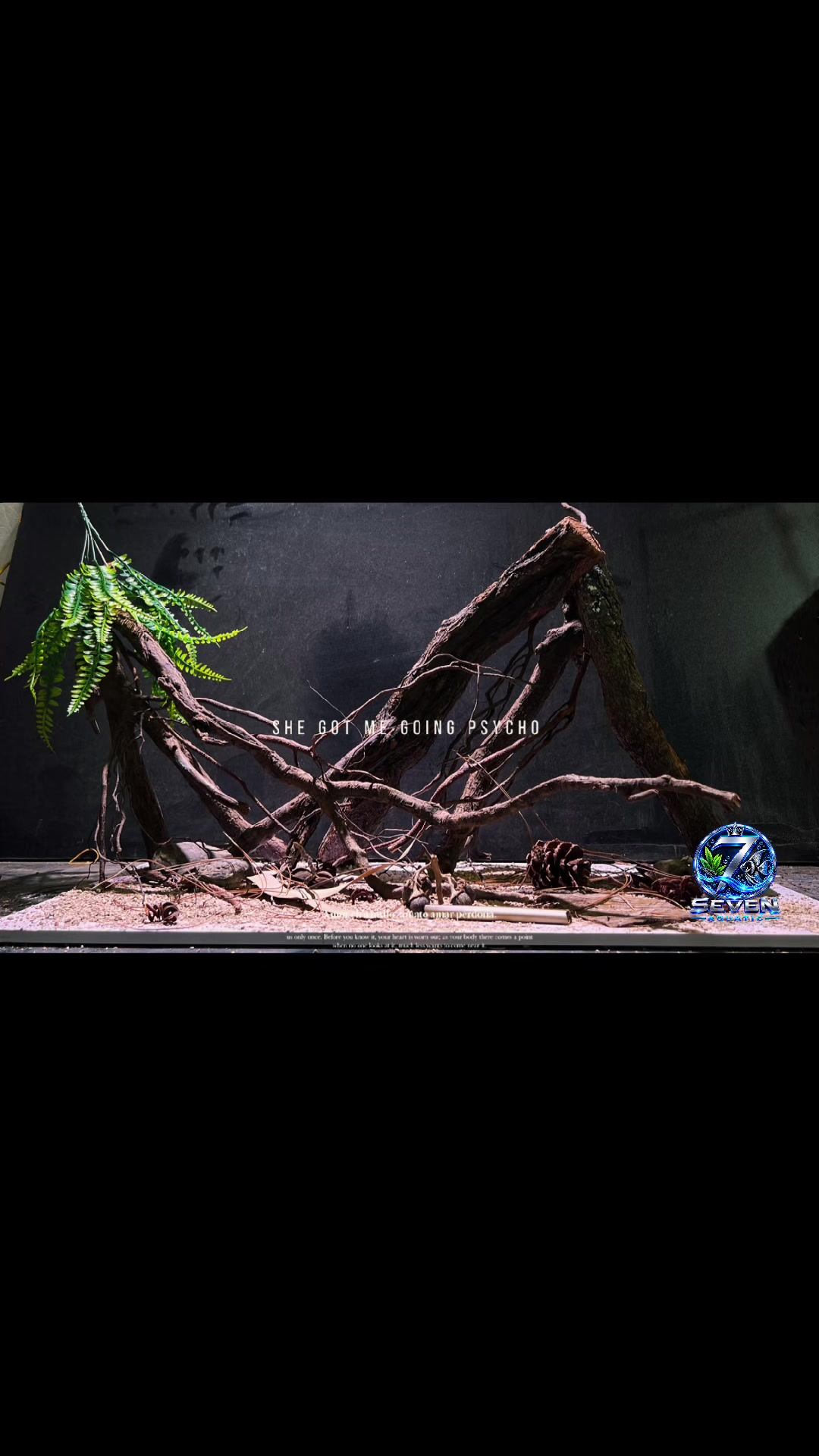 @Layout Biotope Sài Gòn VTV