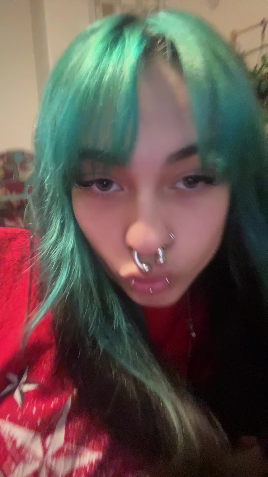 @liahawk965❄️
