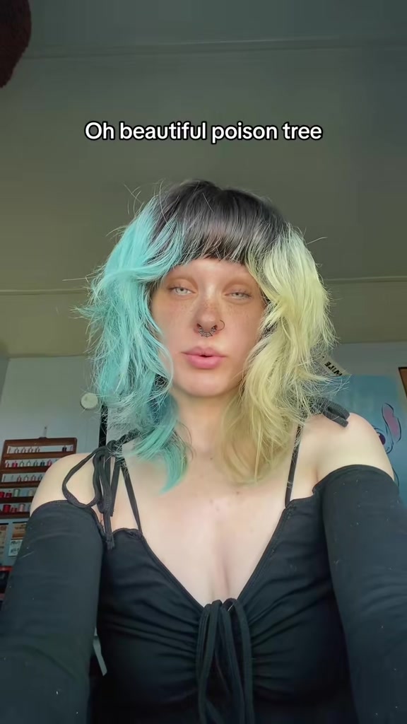 @𝓚𝖆𝖙𝖎🍃💨