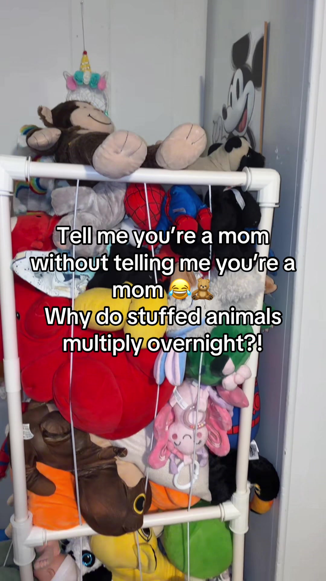 @CadysFavoriteFinds