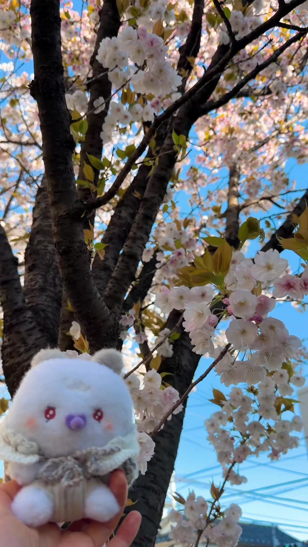 @❤️💜
