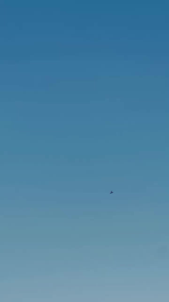 @𓆩ᑫᗩᗪEEᖇ𓆪