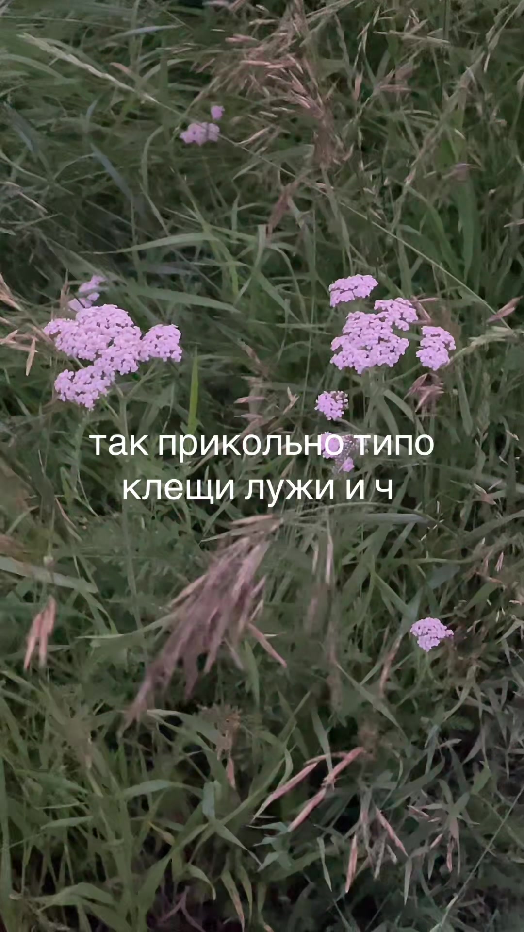 @улюля