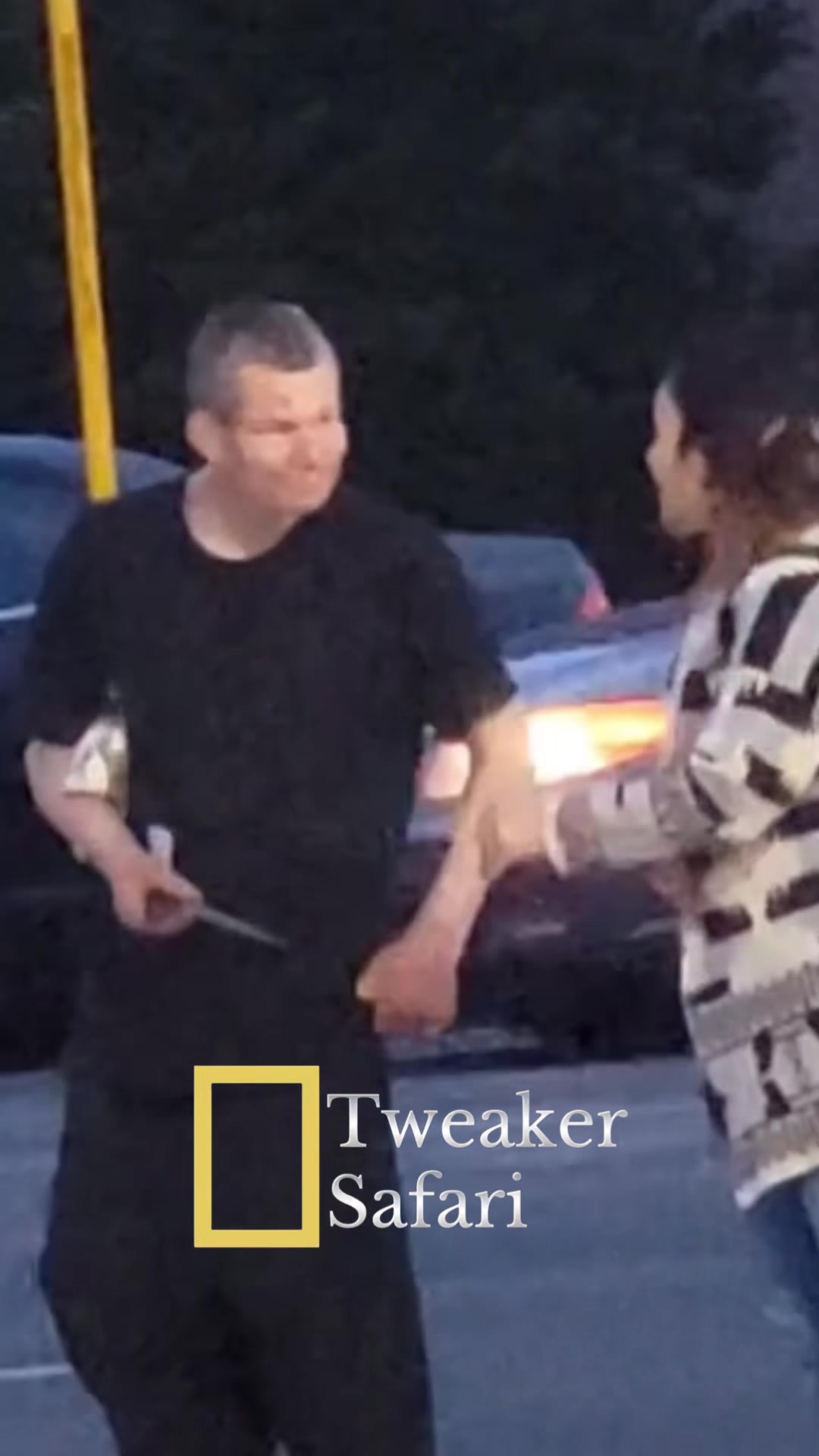 @The original tweaker safari