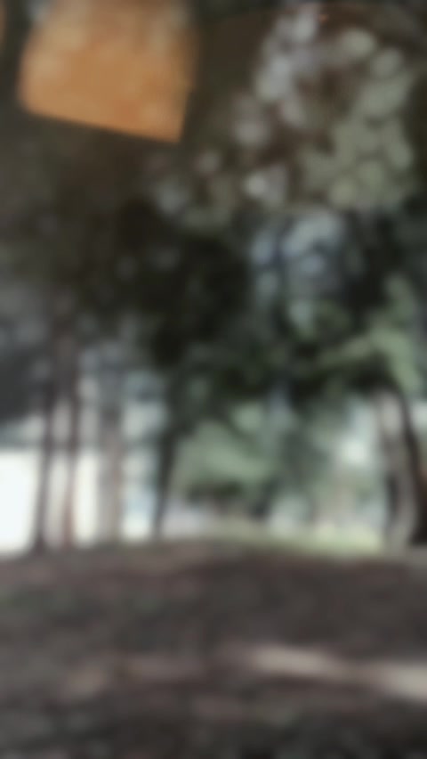 @M@_Akmal_Mokhtar