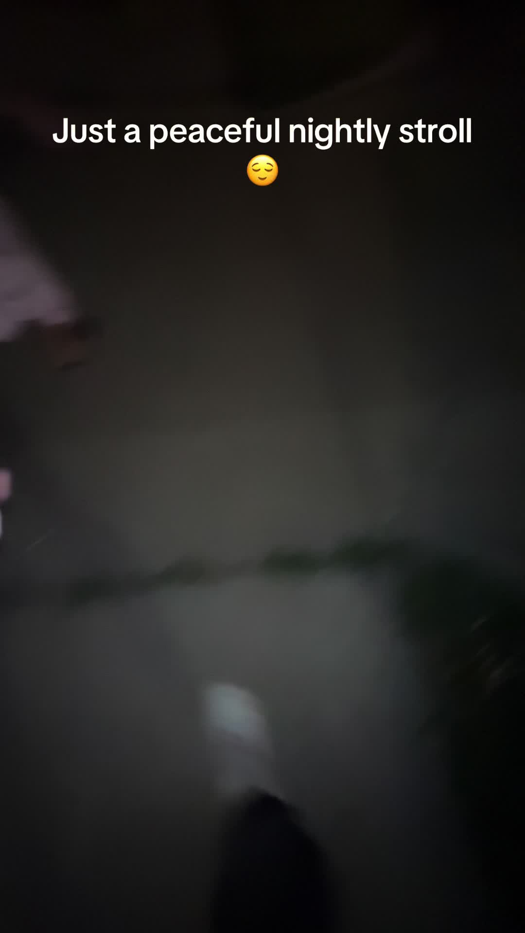 @littleghostvibez