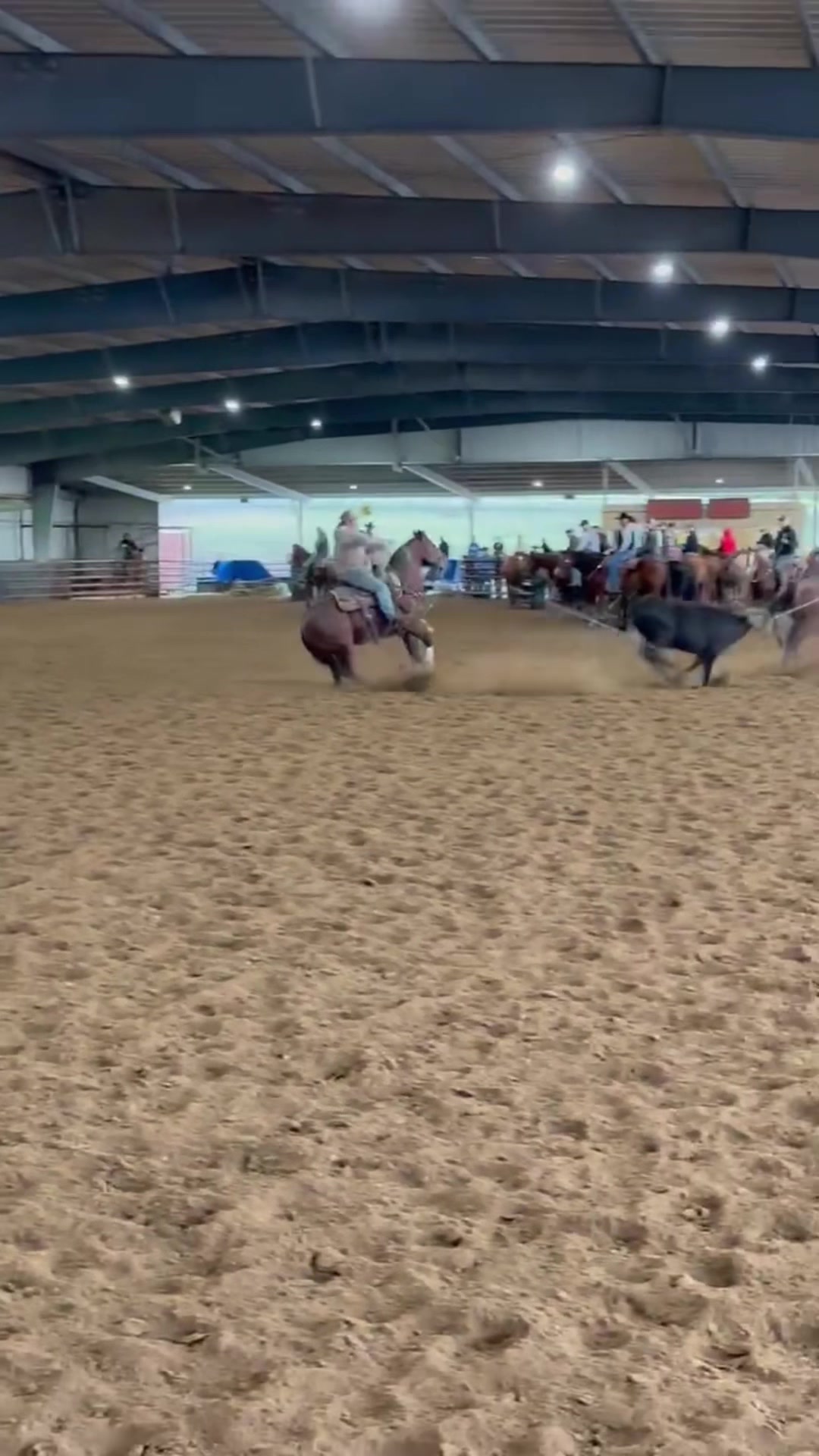 @Cord Forzano Rope Horses