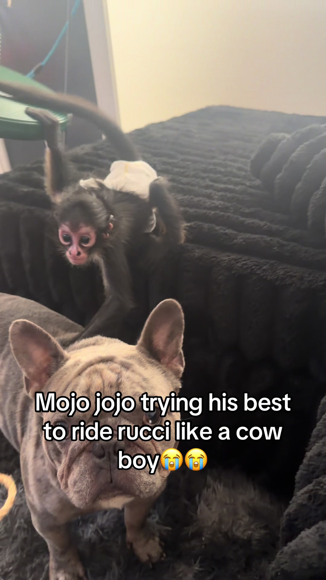 @OJTV & Mojo Jojo🧡