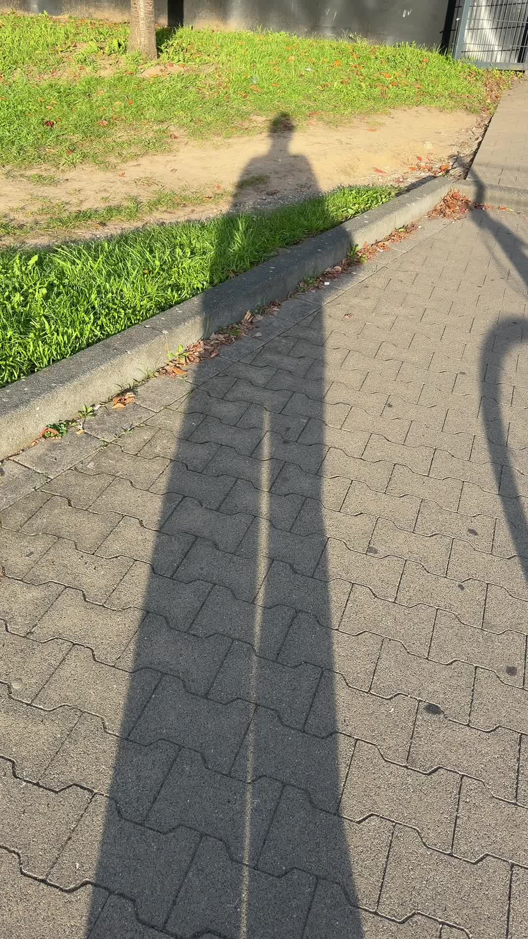 @forbiddenathlete