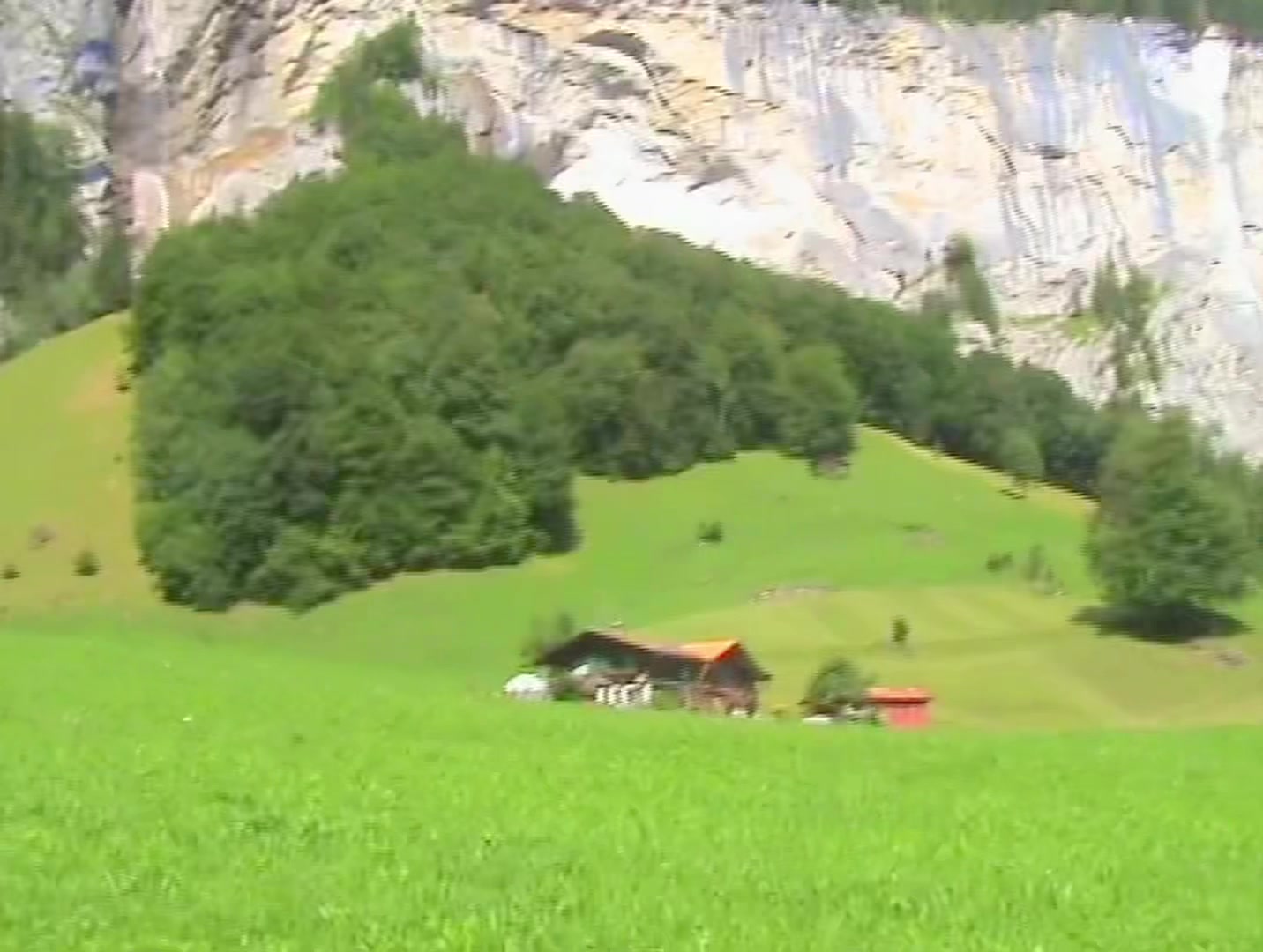 @Fiakosaure 🗻📹