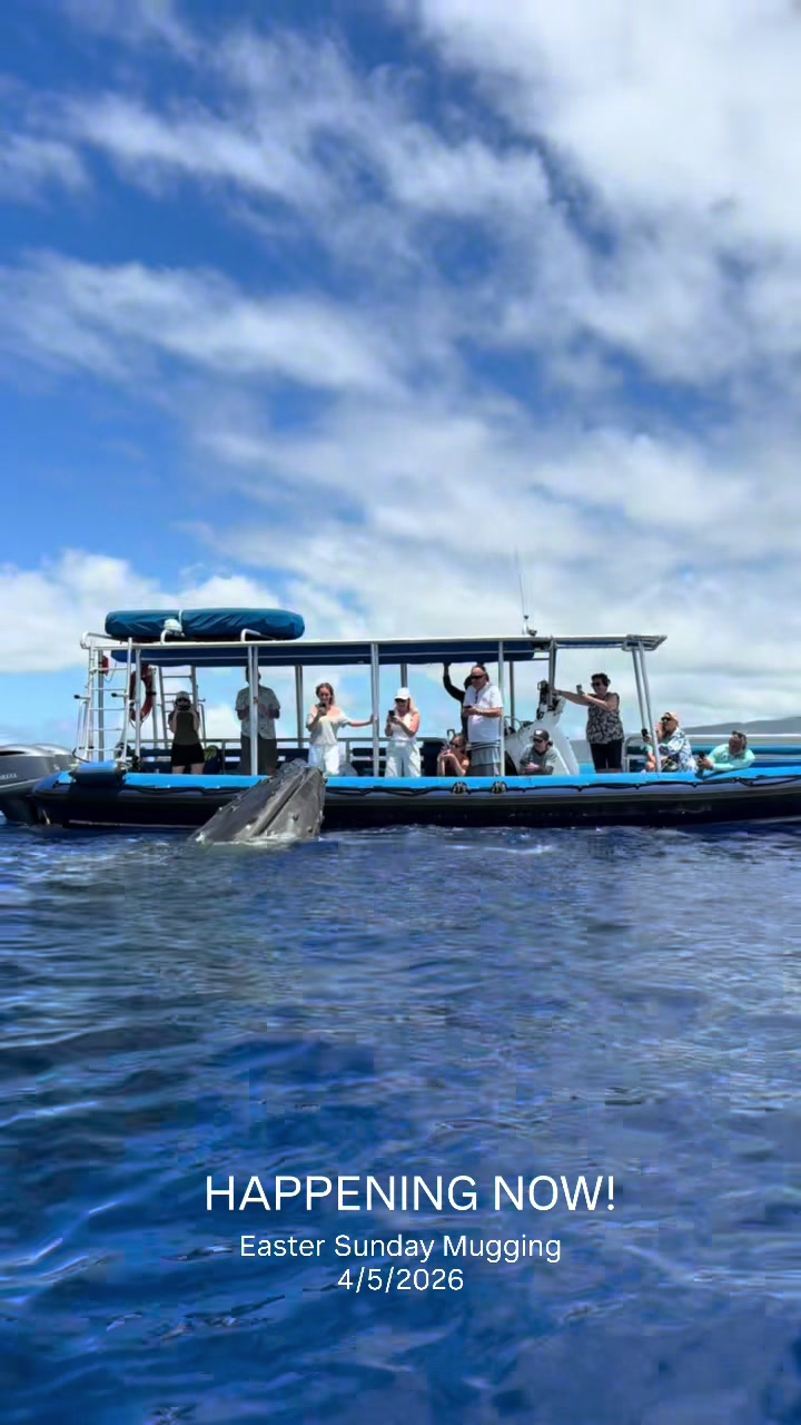 @Hawaii Ocean Rafting