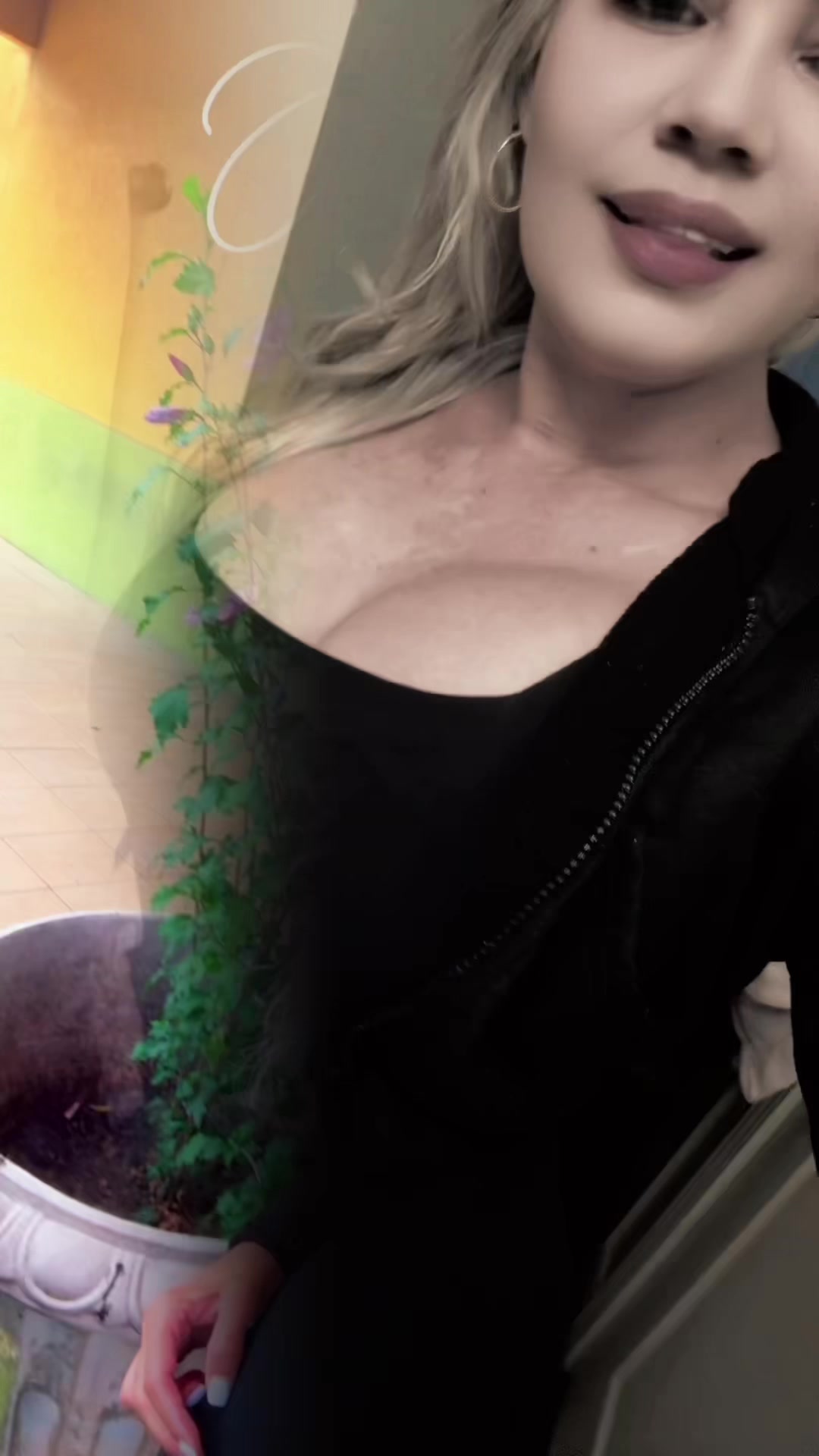 @karol1104