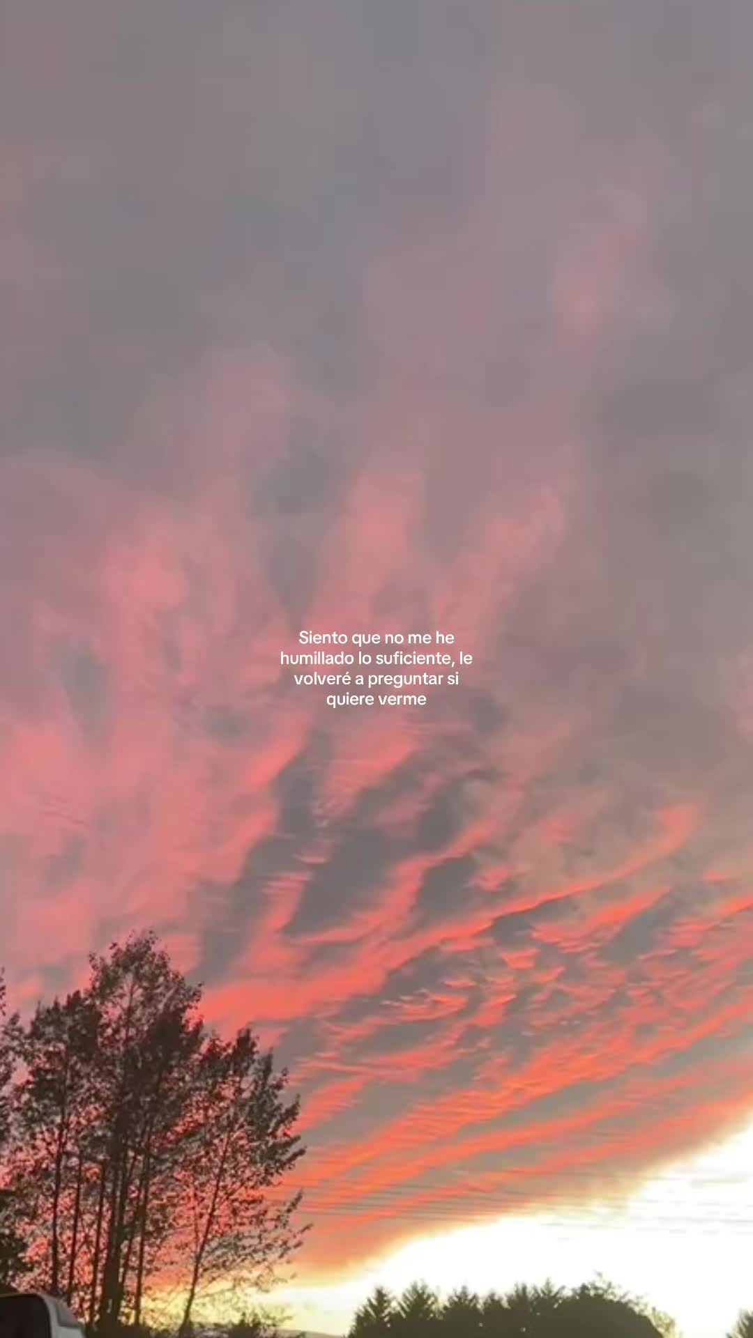@☕️