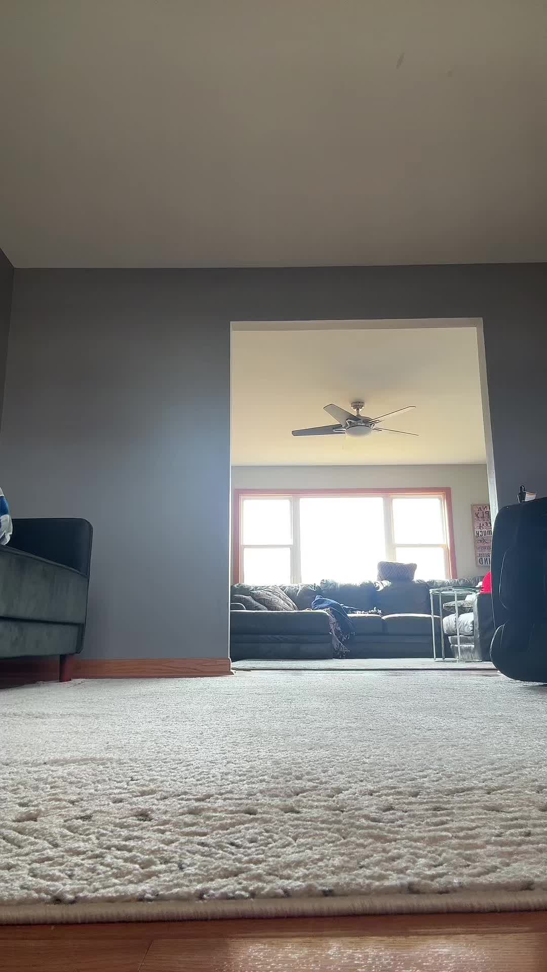 @kaden.coppage