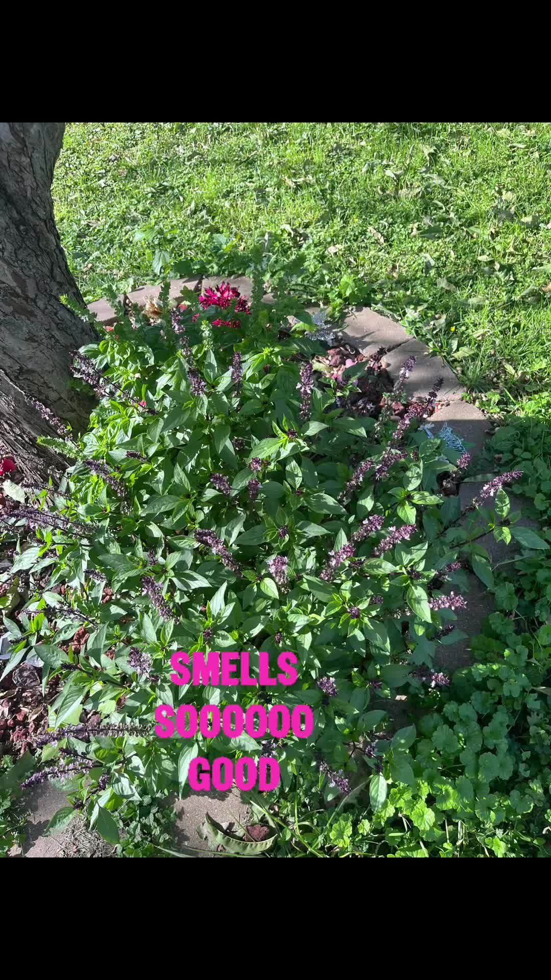 @MissMillz Productions LLC
