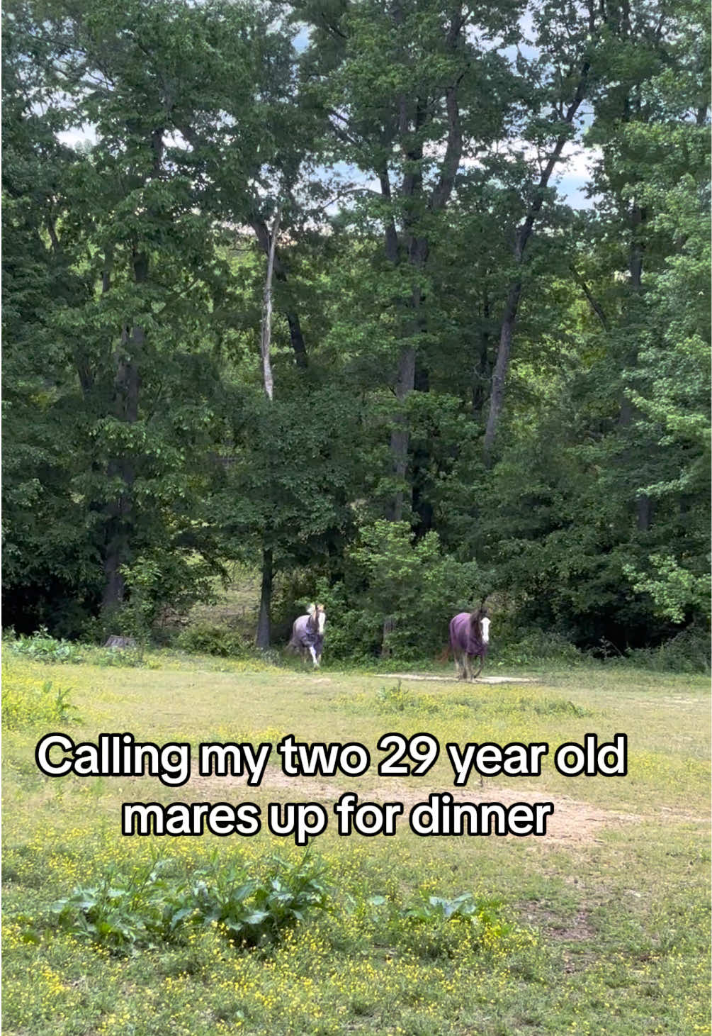 @Valerie