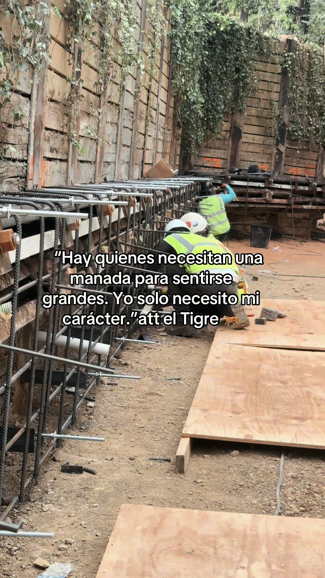 @Abel Velásquez 🦺👷♂️