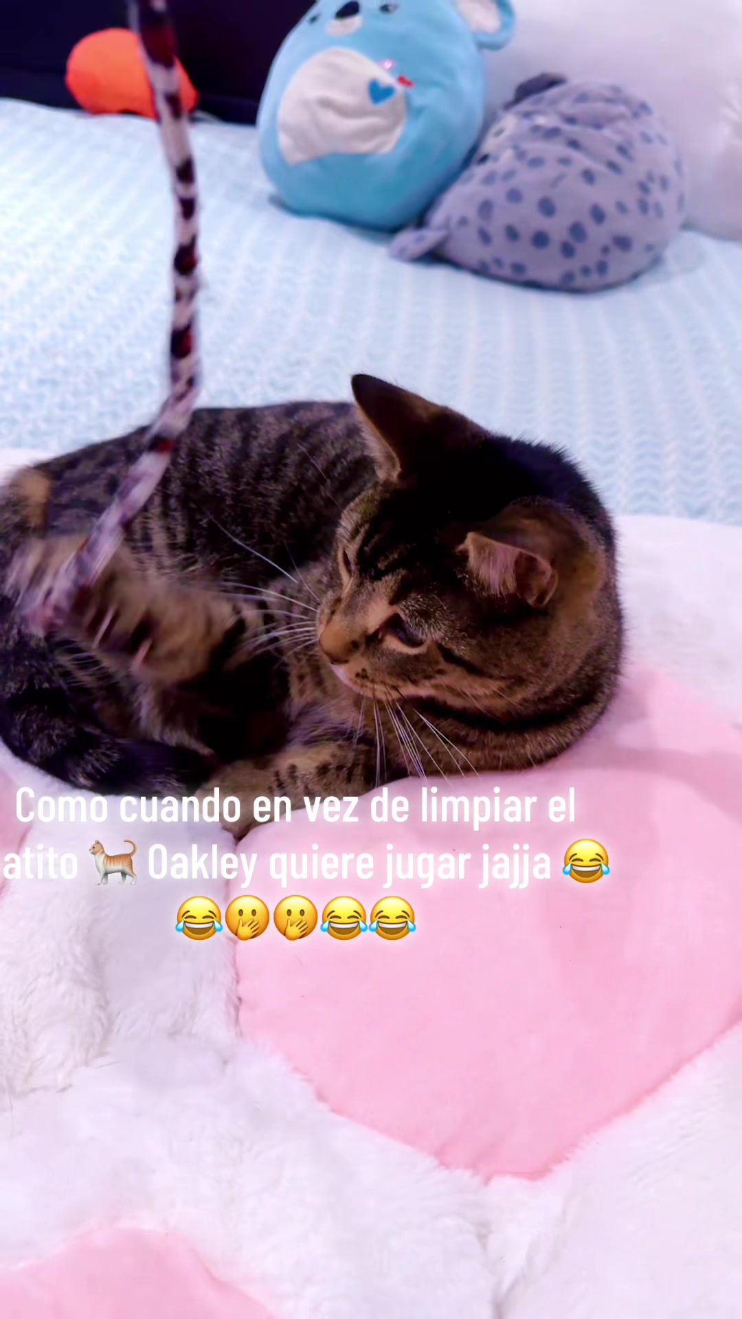 @blanca crispin perez