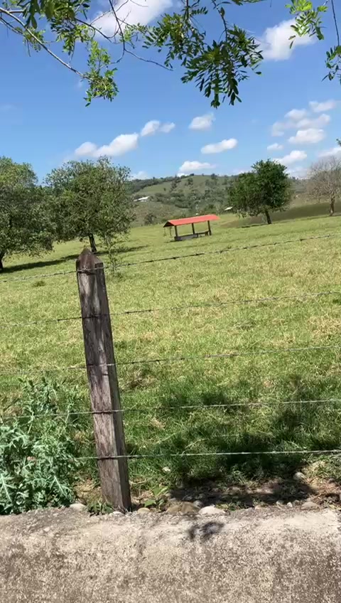 @Venustiano Carranza Puebla
