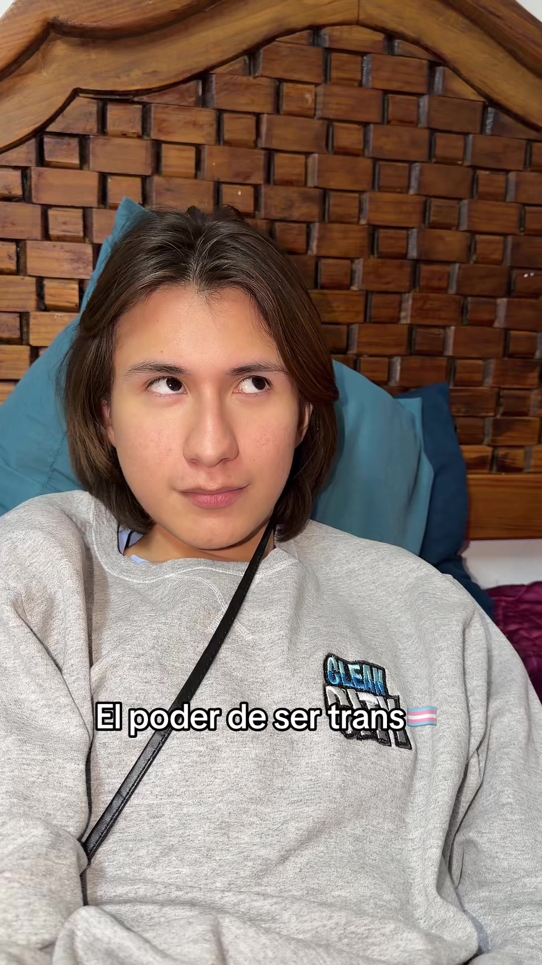 @pollitaloes
