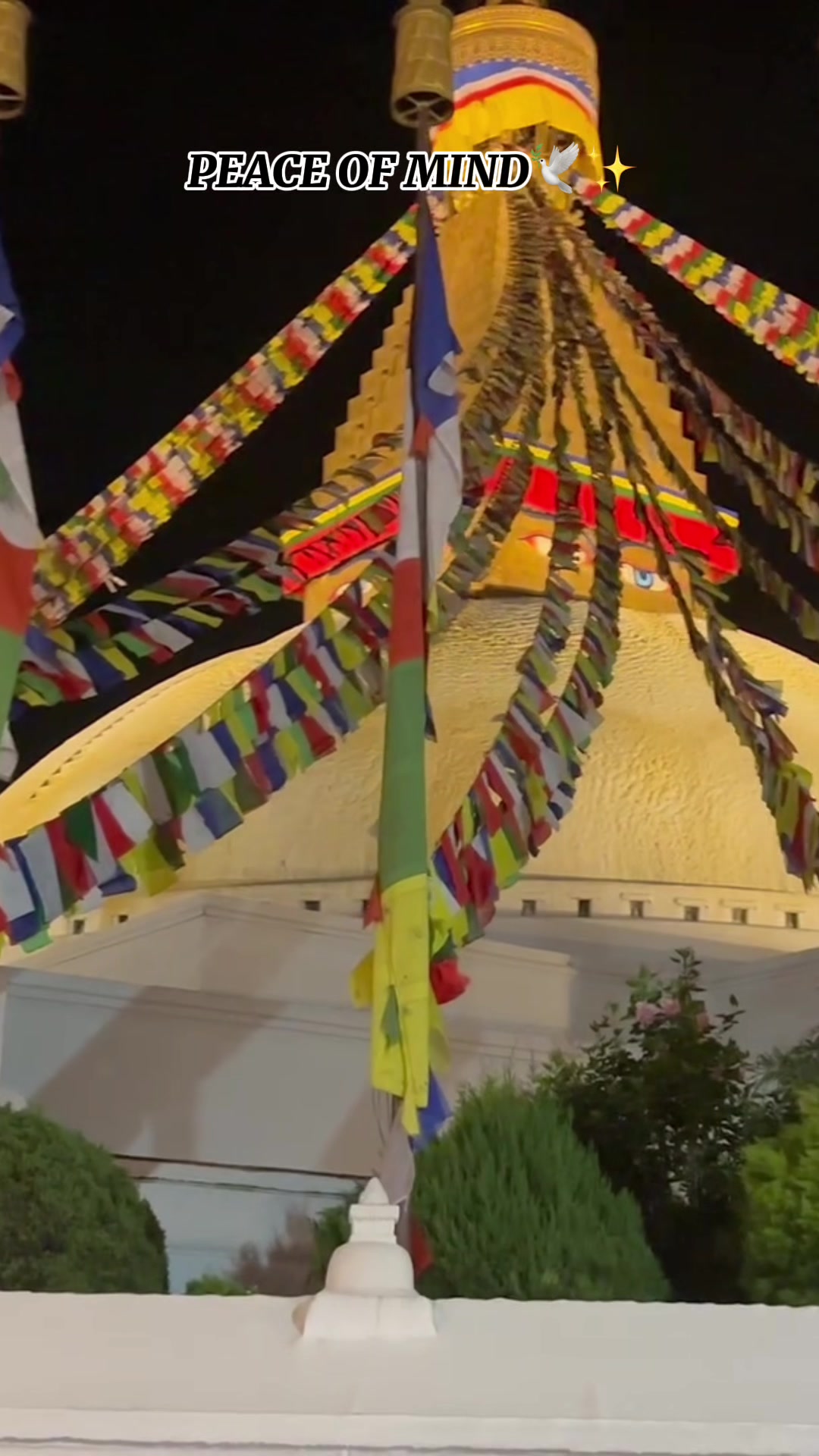 @ཉི་མ་རྟ་མང།☸️🐍🙇♀️