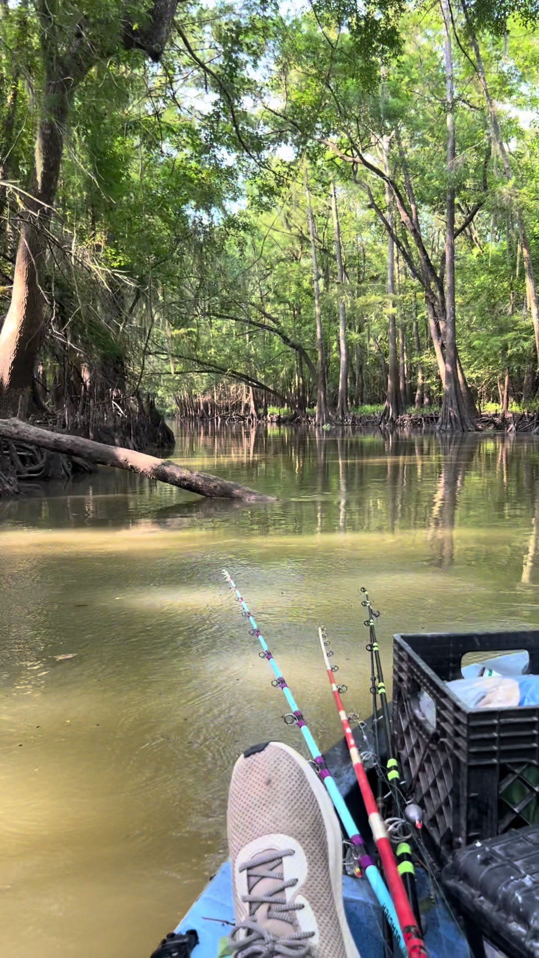 @LOW_BUDGET_FISHING