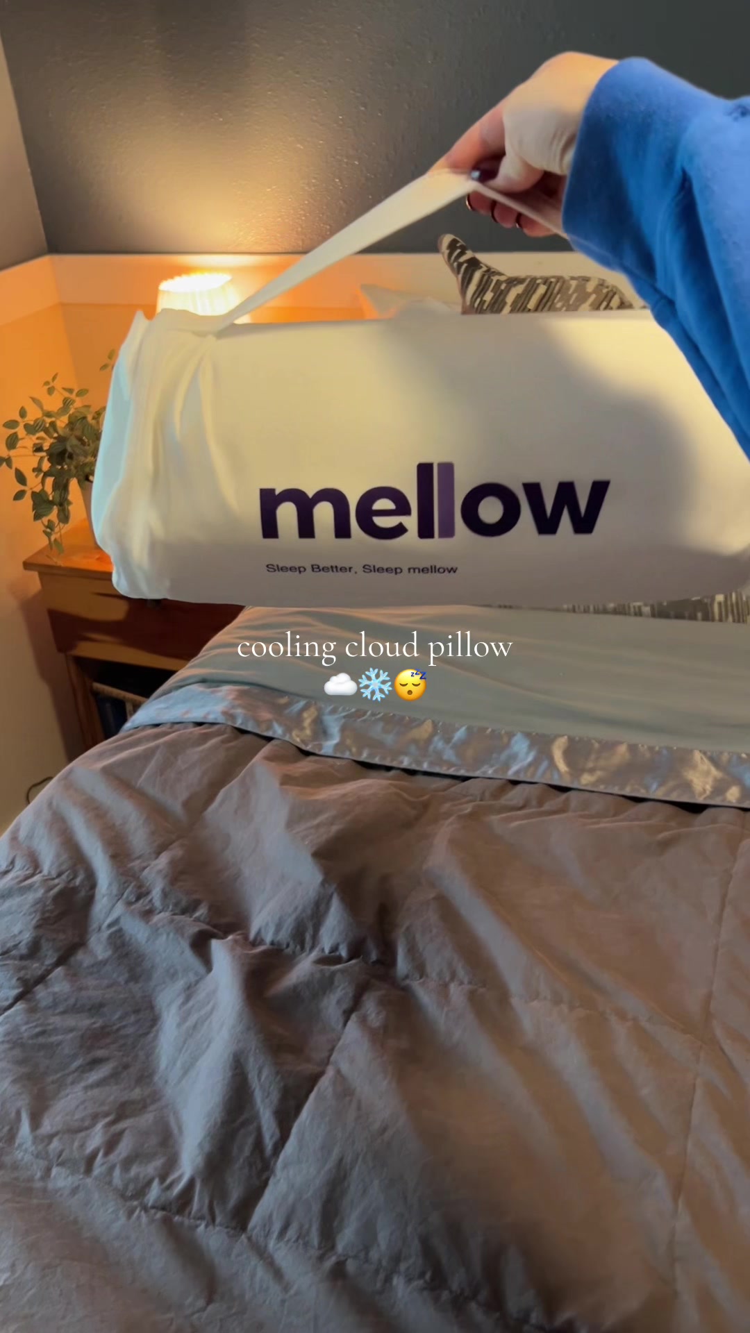 @HALEY | Mom Finds & More
