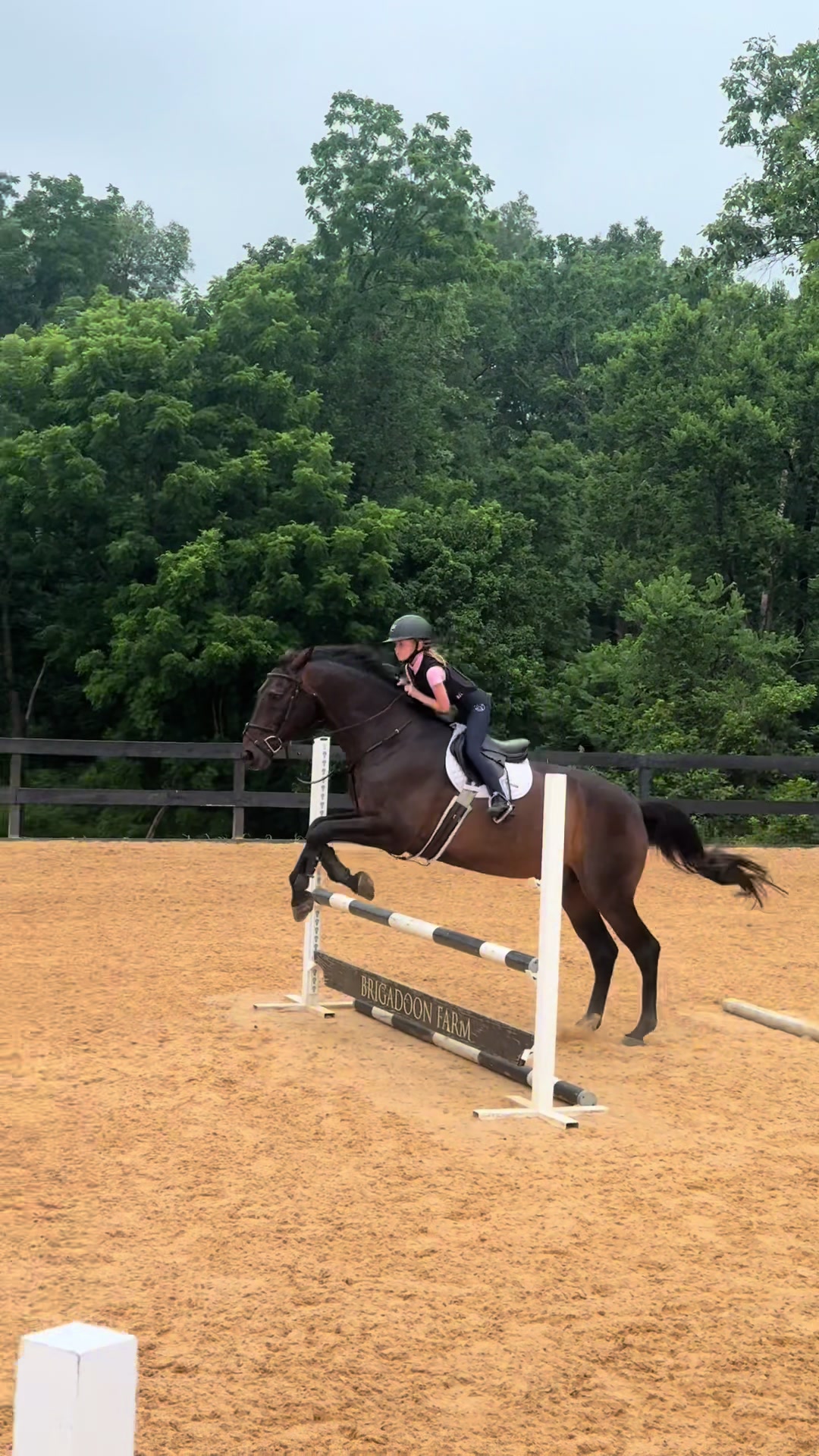 @ckponies