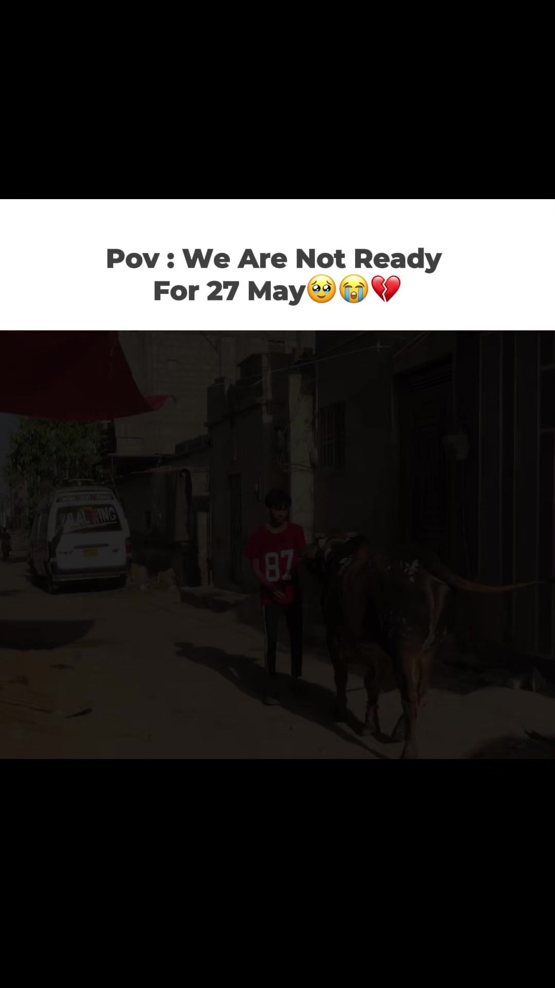 @Cattle_Guy’s