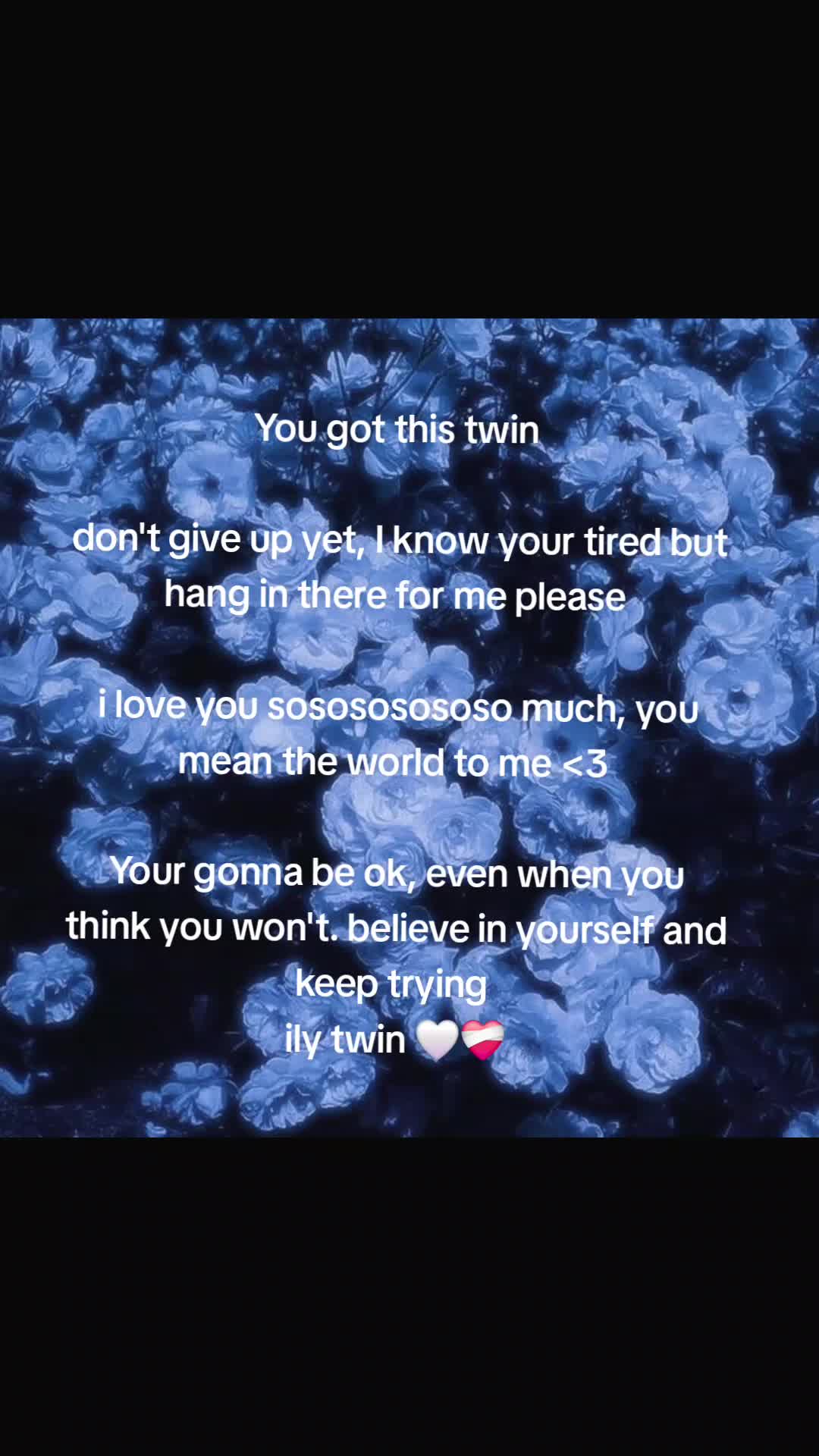 @* ੈ✩‧₊˚*𝐴𝑥𝑒𝑙* ੈ✩‧₊˚*