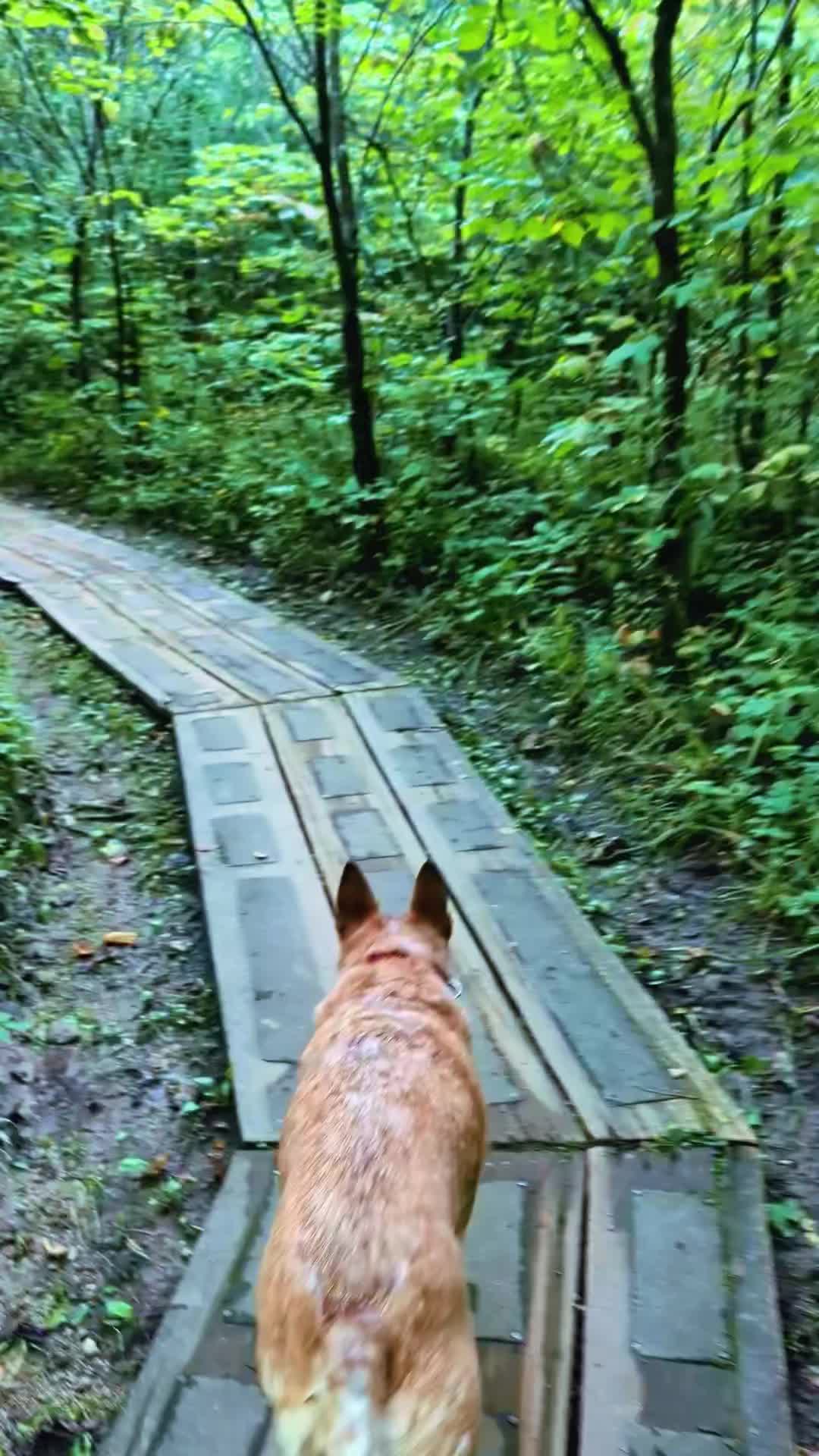 @Faith🪽✝️ 🥾🐾