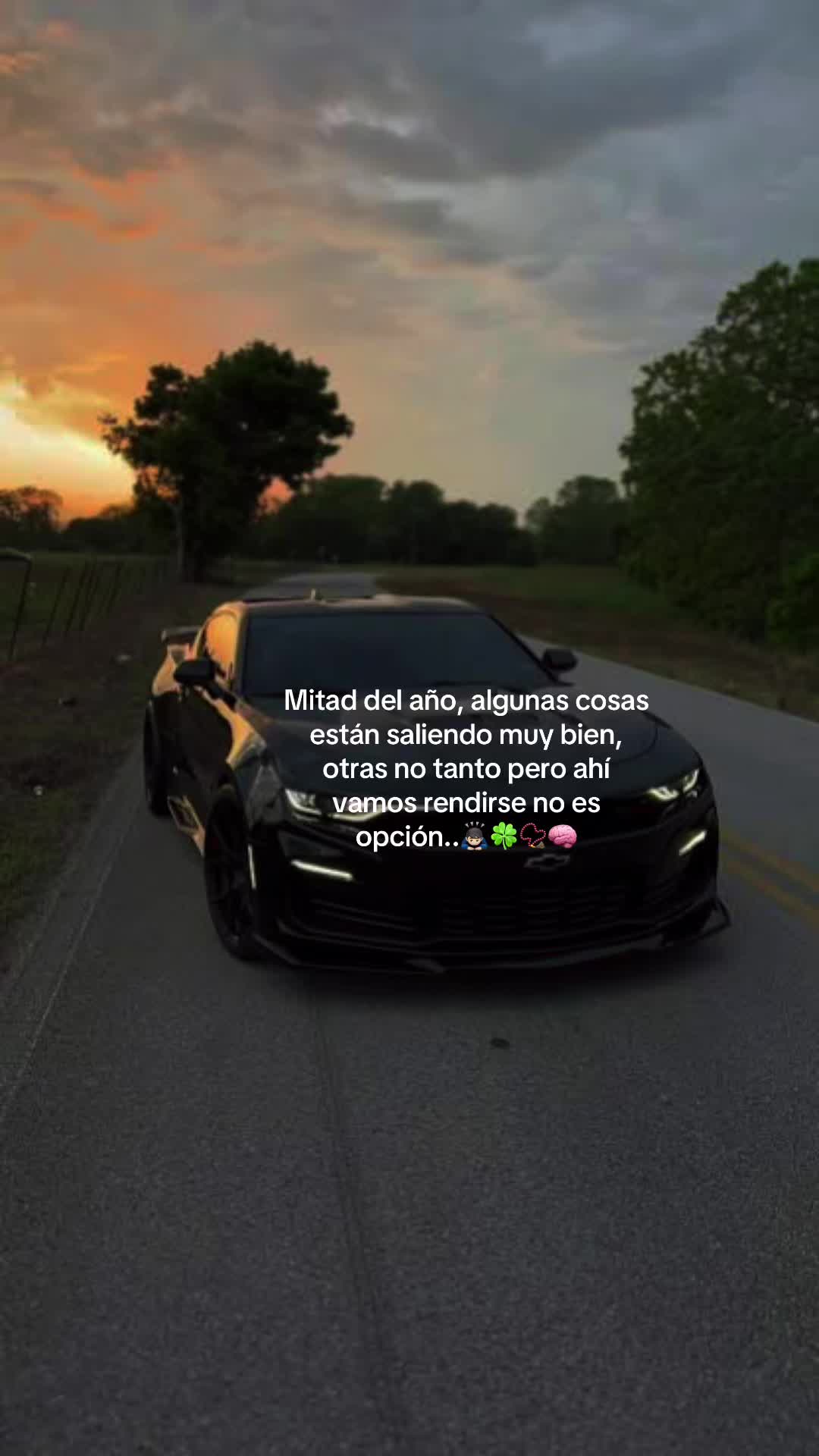 @JMGZLZ 