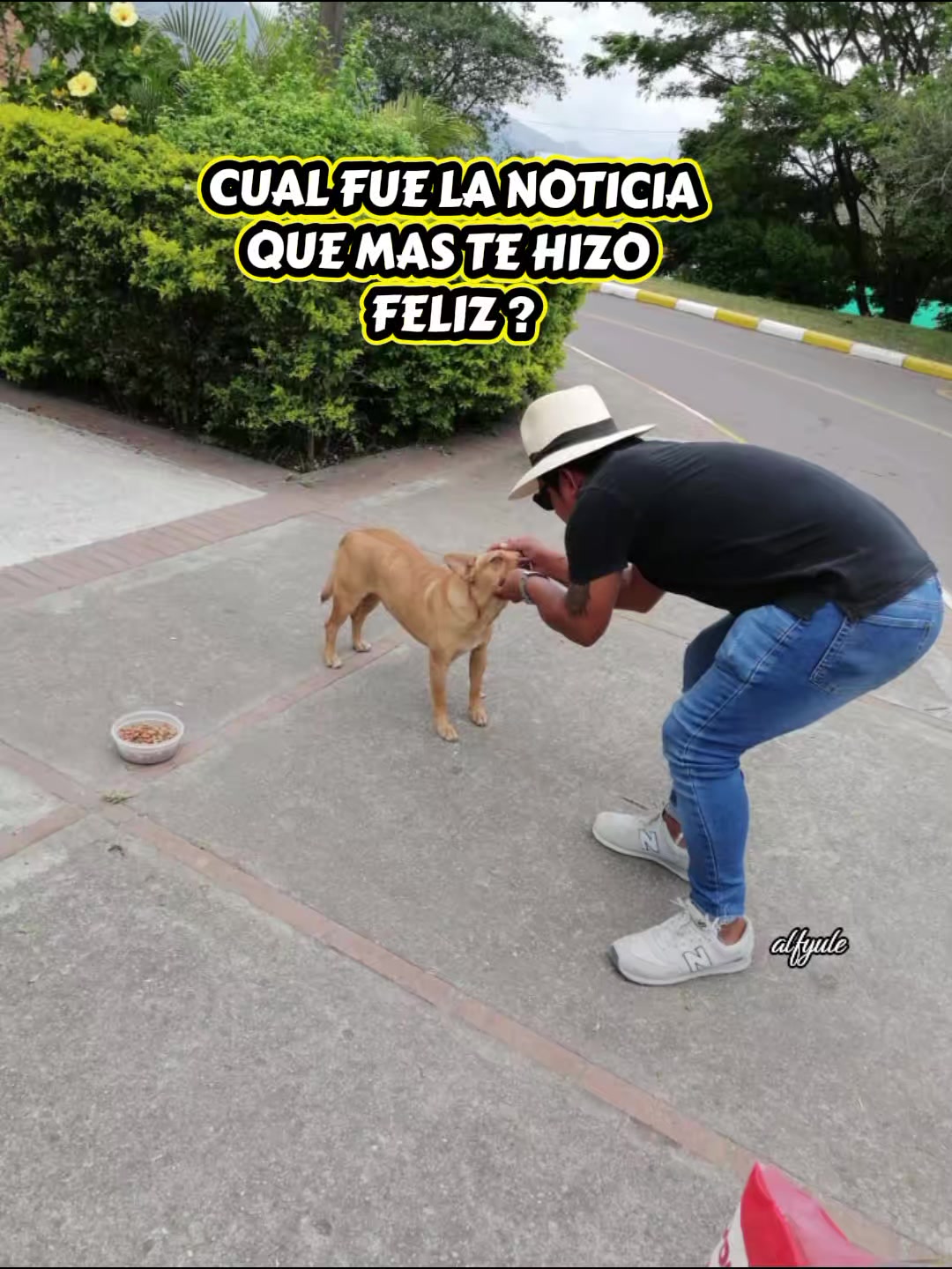 @ALFYULE